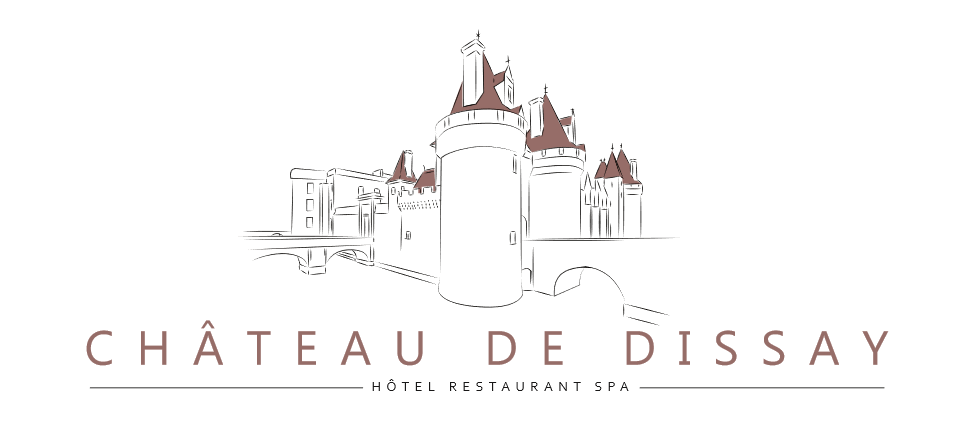 CHATEAU DE DISSAY
